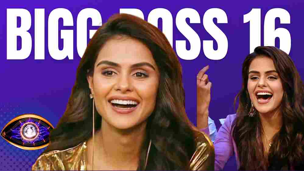 Priyanka Chahar Choudhary one of the probable winner of Bigg Boss 16 Contestant