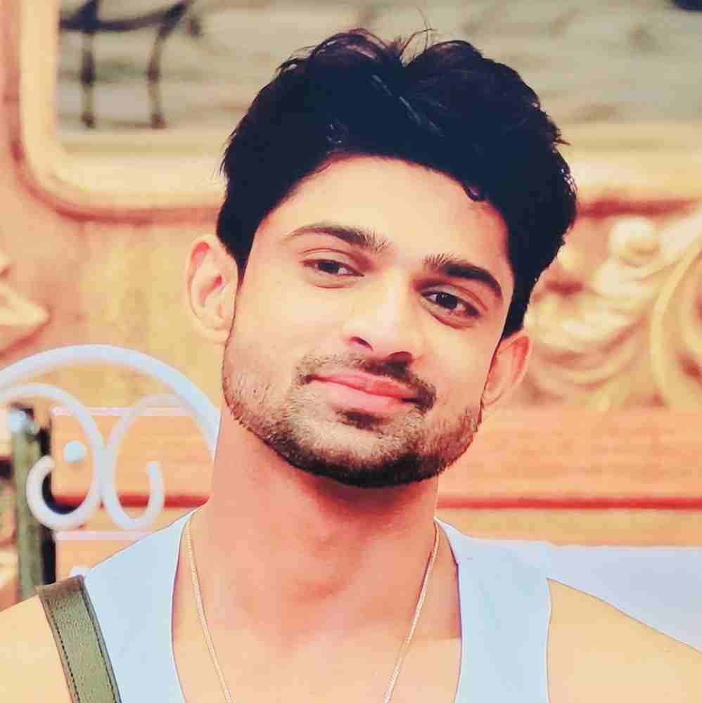 Abhishek kumar in bigg boss 17