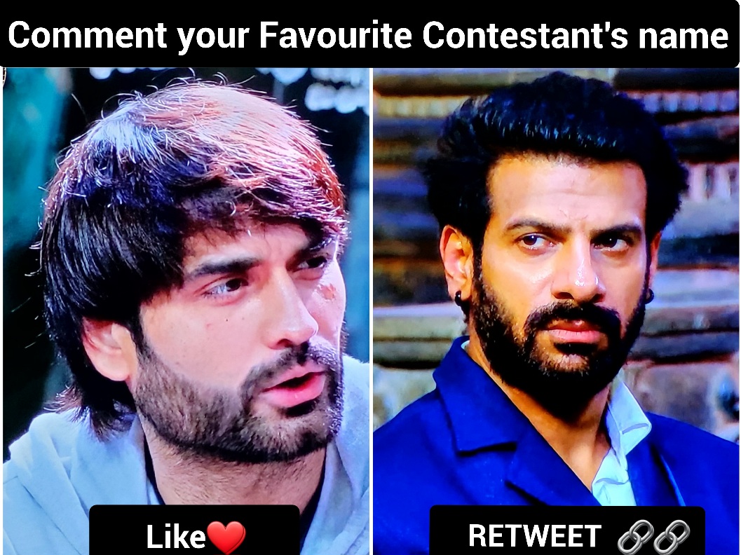 Vivian Dsena vs KaranVeer Mehra